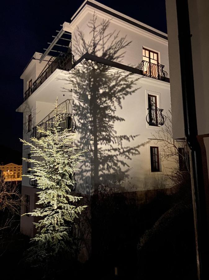 Vila Maister Celje Bagian luar foto