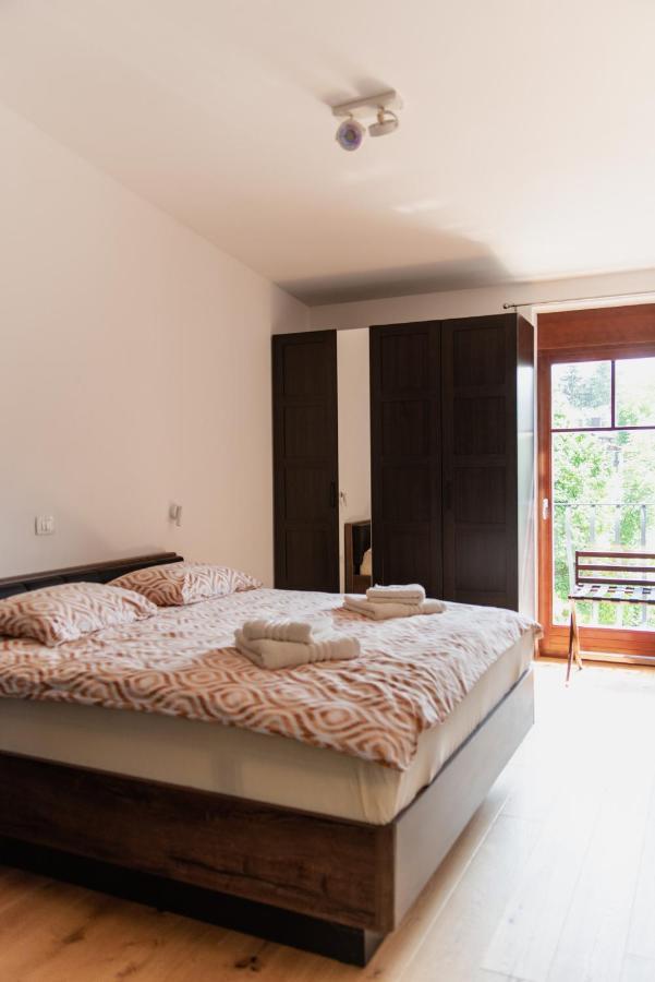 Vila Maister Celje Bagian luar foto